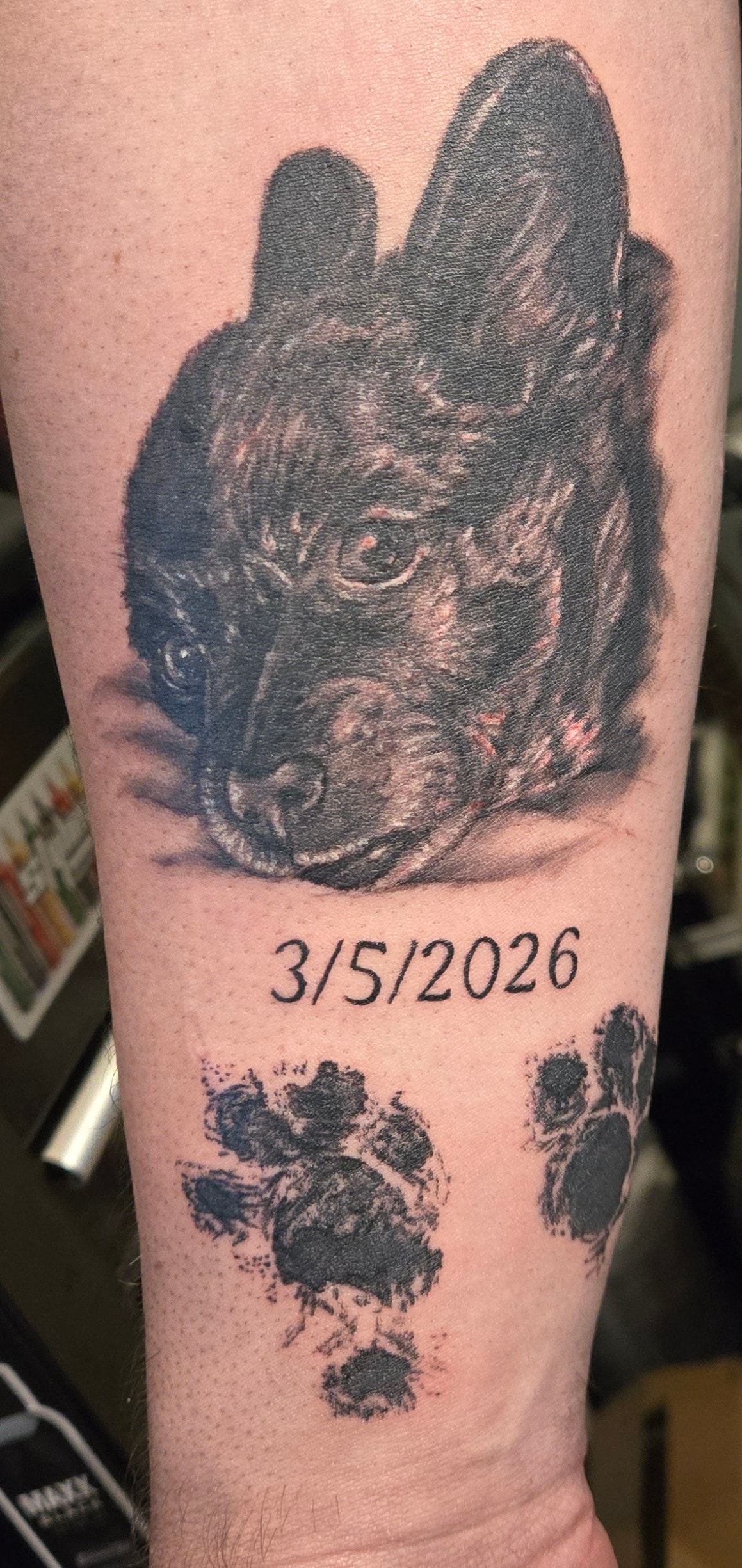 Black and gray custom tattoo of a dog portrait with date lettering and paw-print details