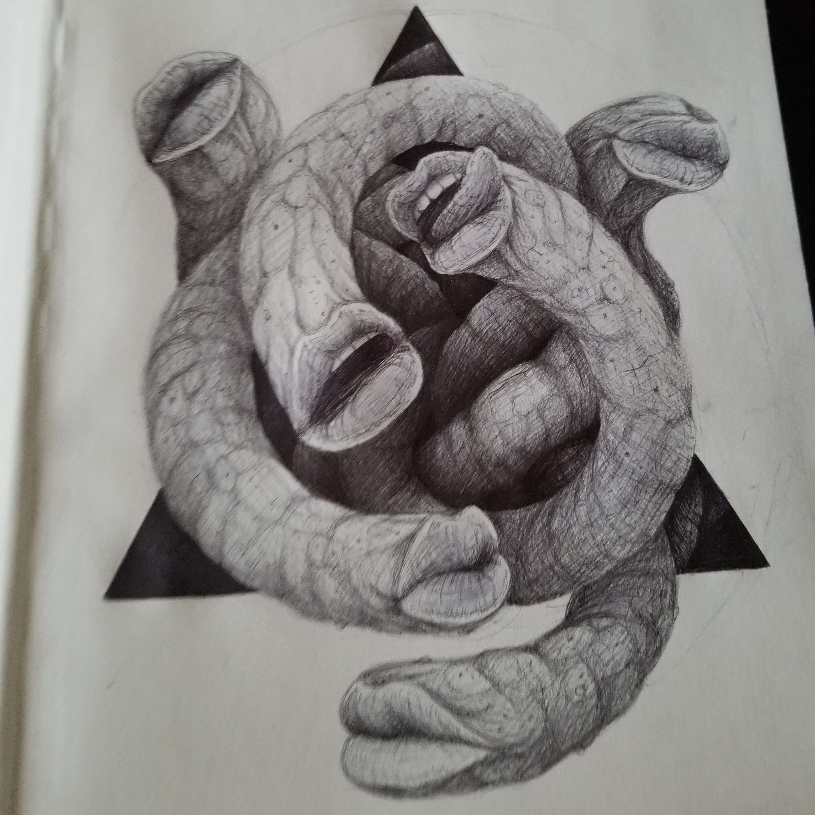 Graphite drawing of intertwined organic forms with geometric black accents