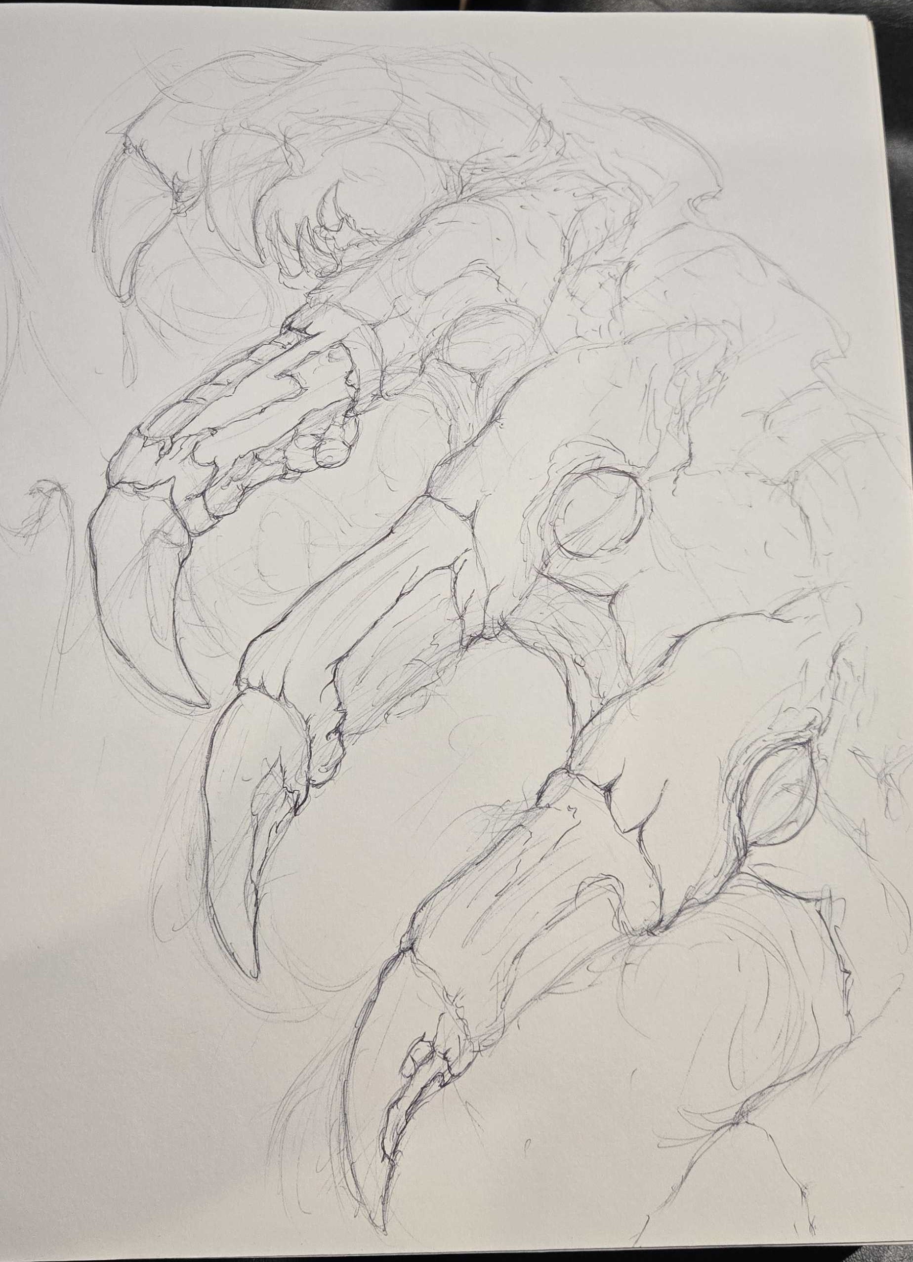 Work-in-progress pencil study of an organic creature with a clawed hand